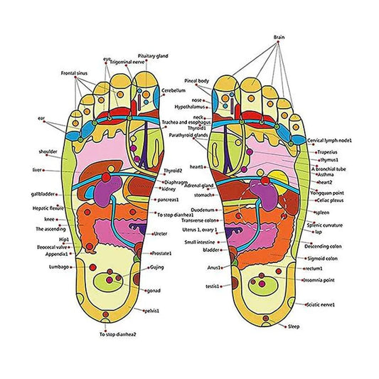 🦶 Acupressure Foot Relaxer Massager Slipper